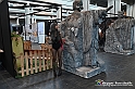 VBS_0965 - Torino Comics 2022 - 10 Giugno 2022